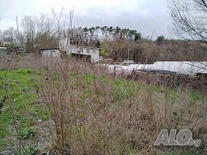 image_4