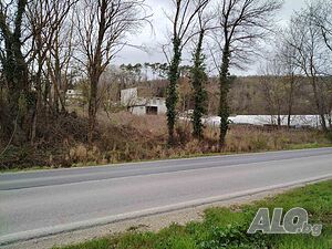 image_6