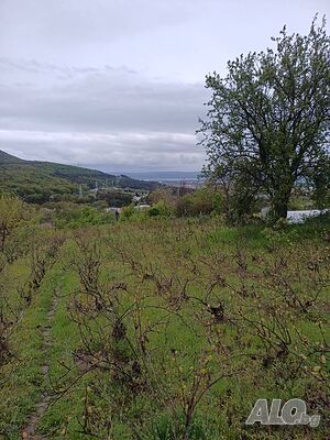 Продавам Дворно Място 1300 м2 в с Михалич общ Вълчи дол