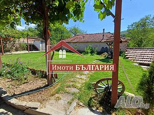 image_9