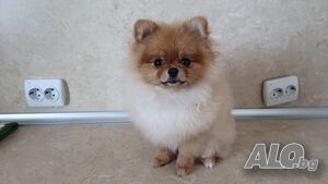 image_7