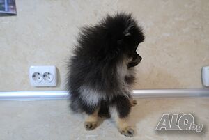 image_7