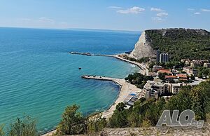 image_11