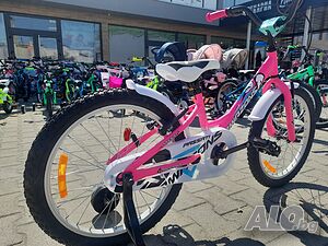 image_5
