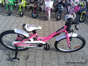 image_3