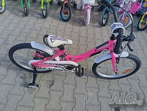 image_7