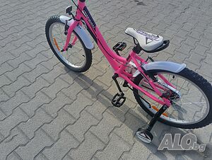 image_11