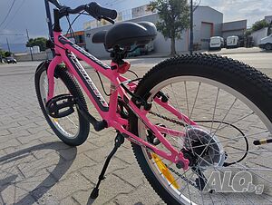 image_8