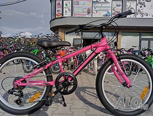 image_11