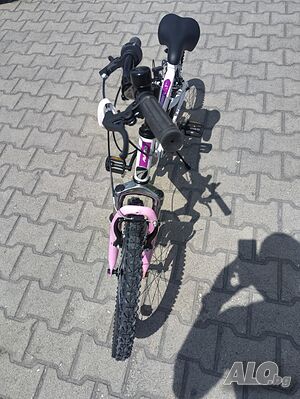 image_7