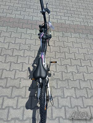 image_9