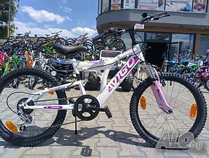 image_11