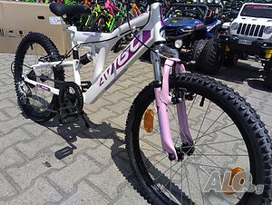 image_12