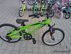image_3