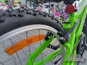 image_6