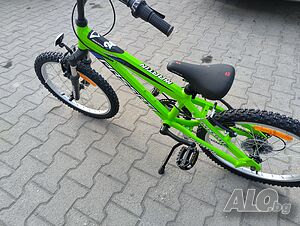 image_11
