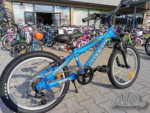 image_9