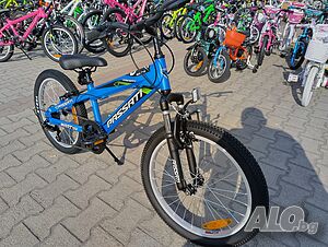 image_12