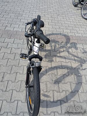 image_10