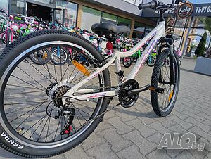 image_11