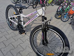 image_12