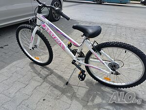 image_11