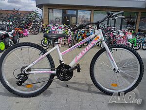 image_12