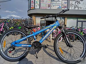image_11