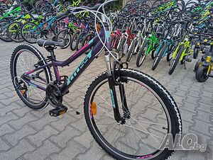 image_12