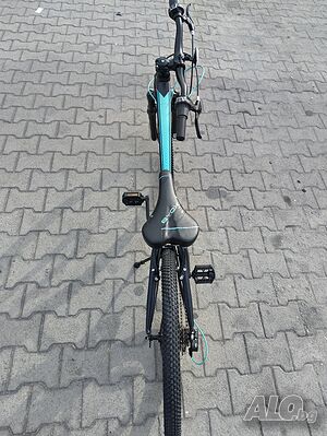 image_10