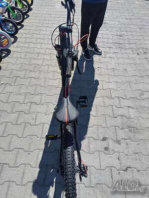 image_9
