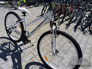 image_12