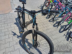 image_11