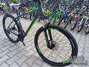 image_11