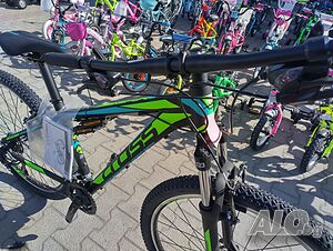 image_7