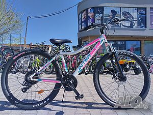 image_12
