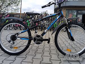 image_12