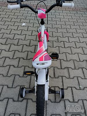 image_8