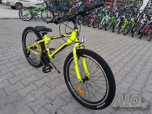 image_4