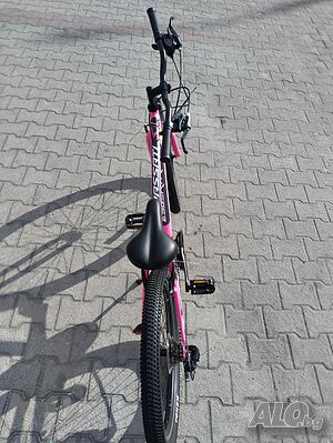 image_10