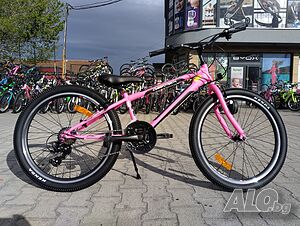 image_12