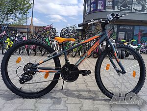 image_12
