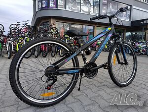 image_11