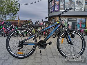 image_12