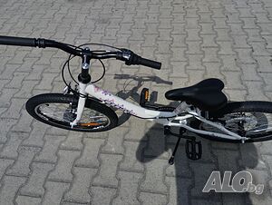 image_9