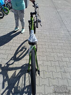 image_10
