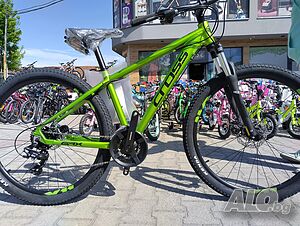 image_12