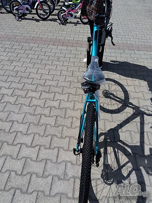 image_10
