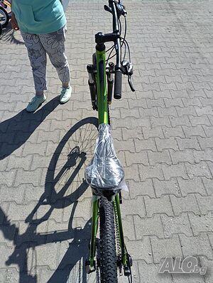 image_9