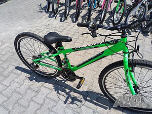 image_8